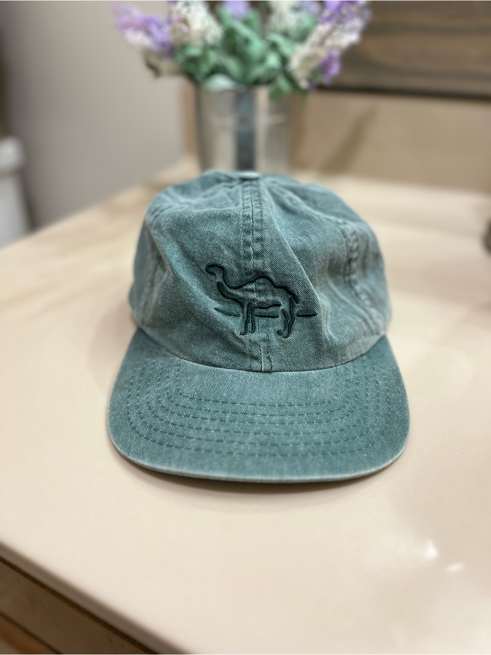 Teal Washed Cotton Baseball Cap with Embroidered Camel